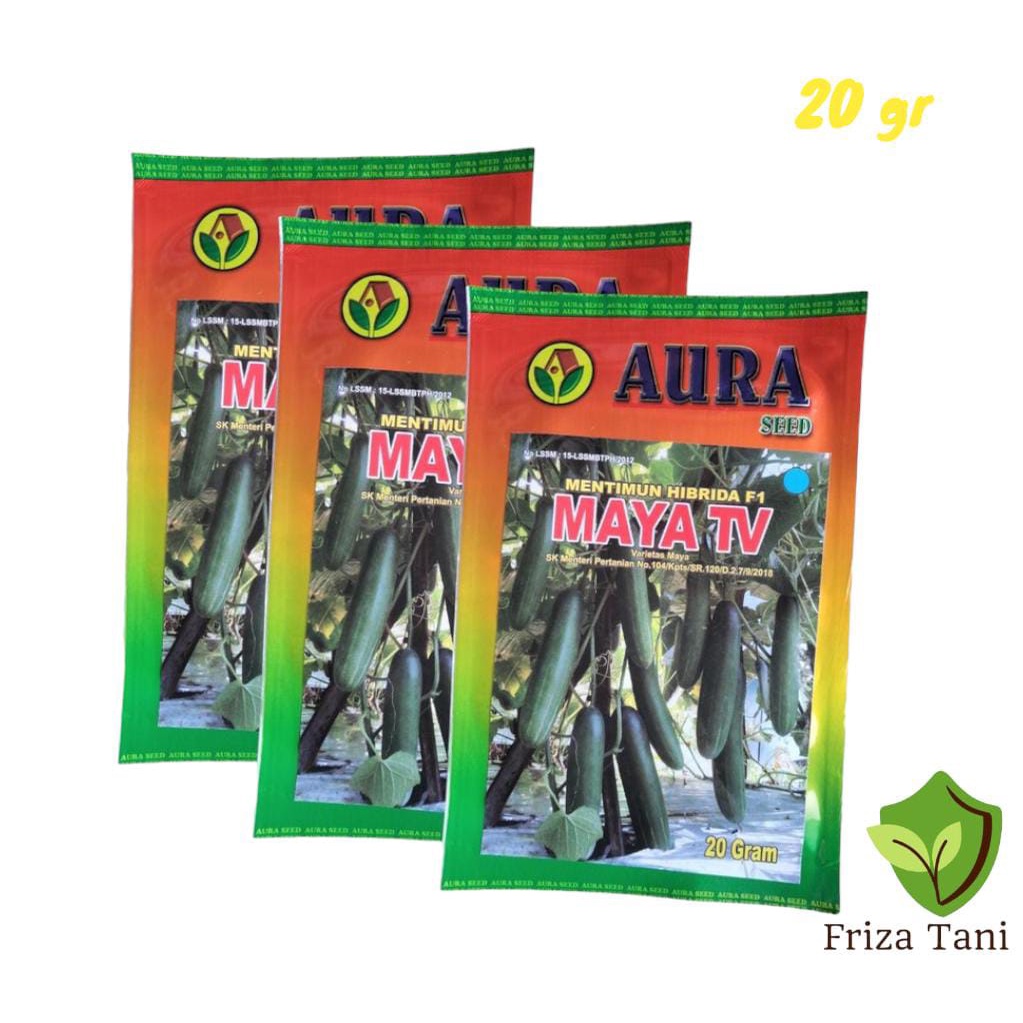 Benih Bibit Timun Maya Tv 20gr AURA SEED Timun Hibrida F1 Nagin F1 Komandan Benlebat