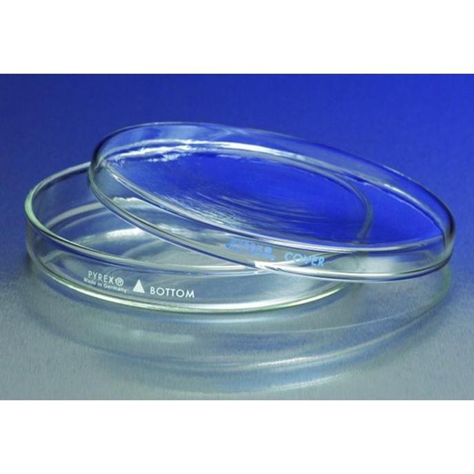 PYREX 3160-101 Petri Dish 100x15 | Cawan Petri div04