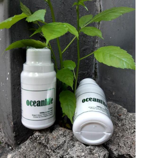 

◌ OCEANLIFE BRC / LUMPUR LAUT ❁