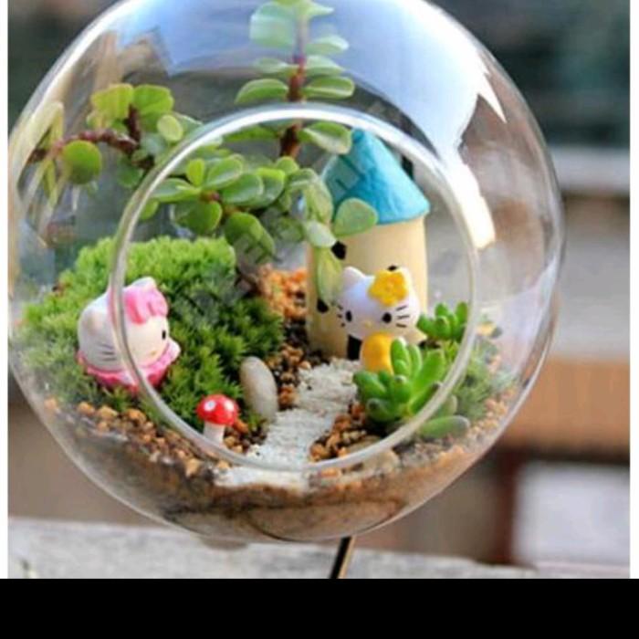 Pot Tillandsia - Vas Kaca Terrarium Gantung