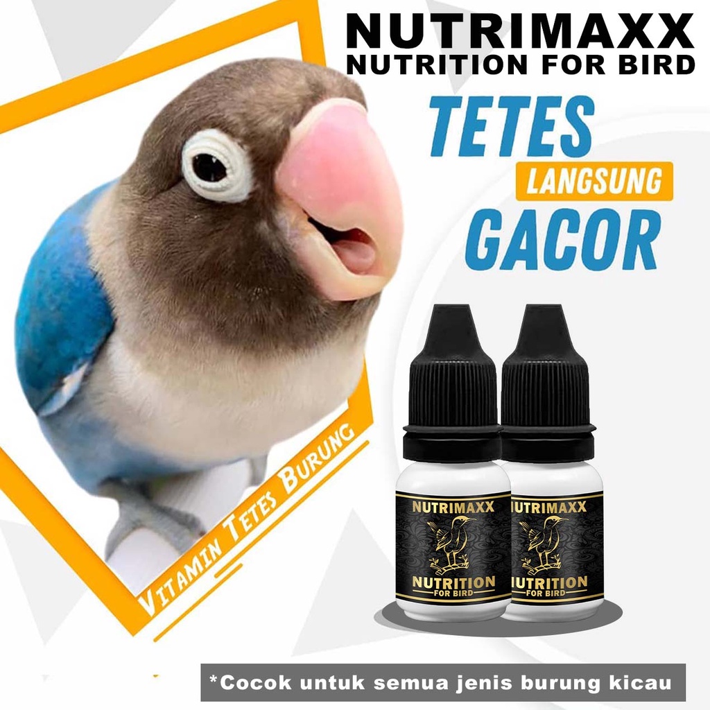 NUTRIMAXX | Vitamin penggacor burung lovebird