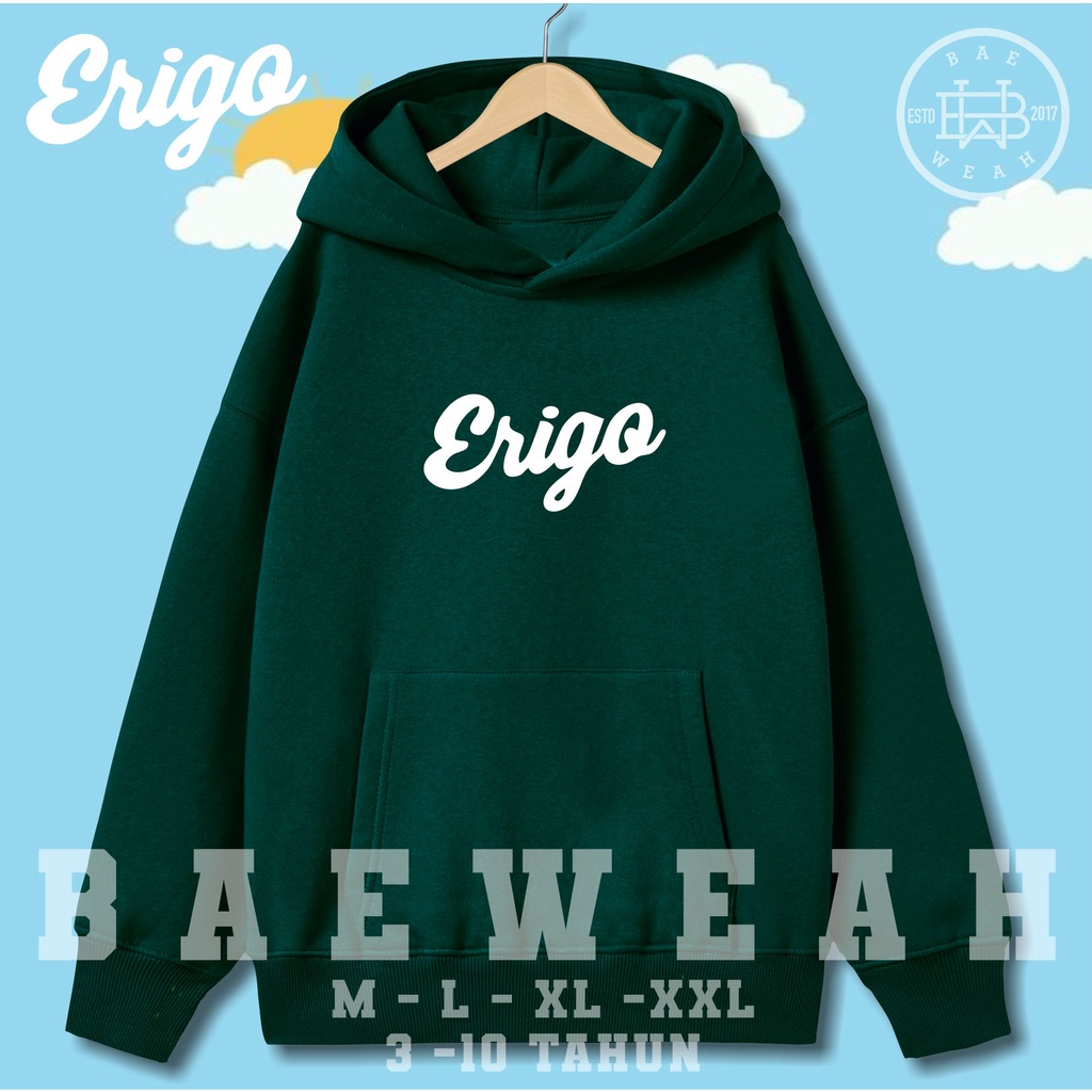 ERRIGO- Sweater Hoodie anak 5-10THN Laki-laki perempuan LOGO simple FLEECE TEBAL