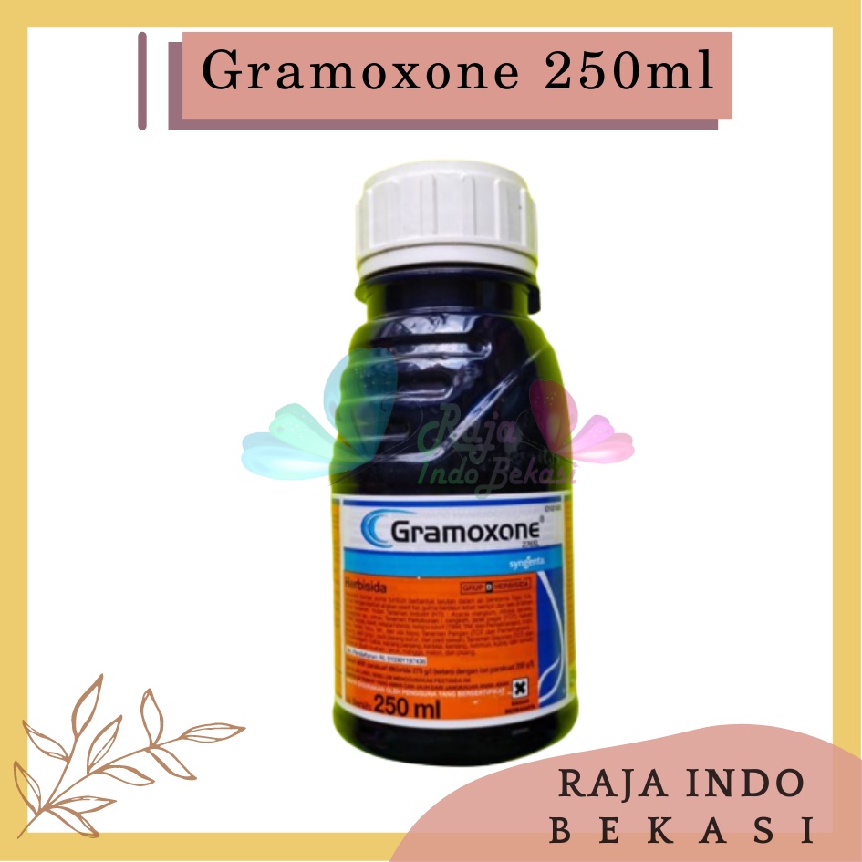 Herbisida Kontak GRAMOXONE 276SL Kemasan 250ml Pembasmi Gulma Berdaun Sempit dan Lebar