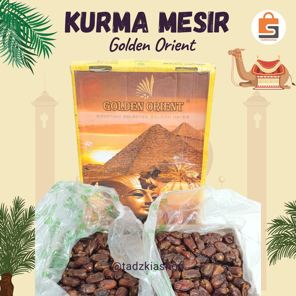 

JUAL KURMA MESIR GOLDEN VALLEY 10 KG