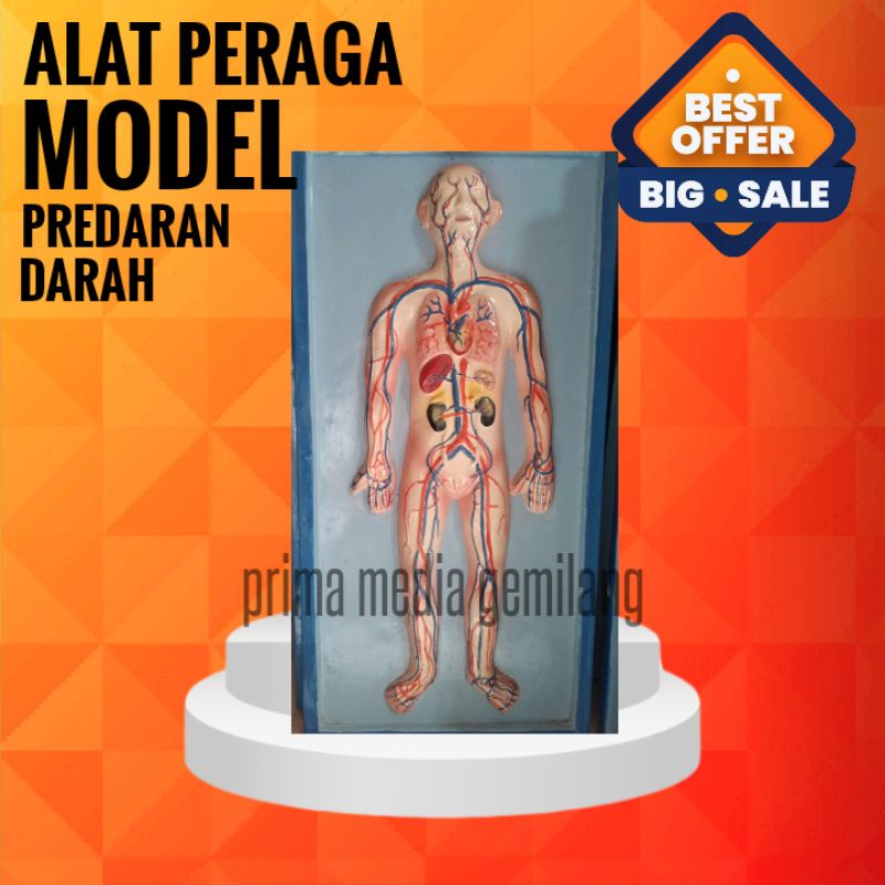 

PREDRAN DARAH Alat Peraga IPA