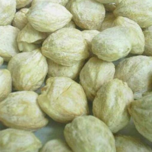 

♨ Kemiri bulat 1 kilogram ➢