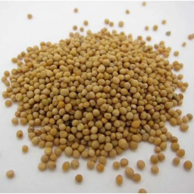 

Yellow Mustard seed 50gr