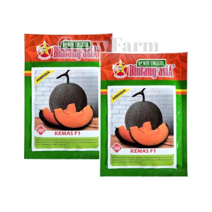 Benih Bibit Melon Kemas F1 20gr Tahan Virus Gemini Rock Melon Daging Orange Unggul Bintang Asia
