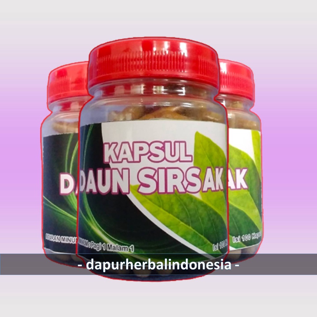 

DAUN SIRSAK ( ISI 100 KAPSUL )