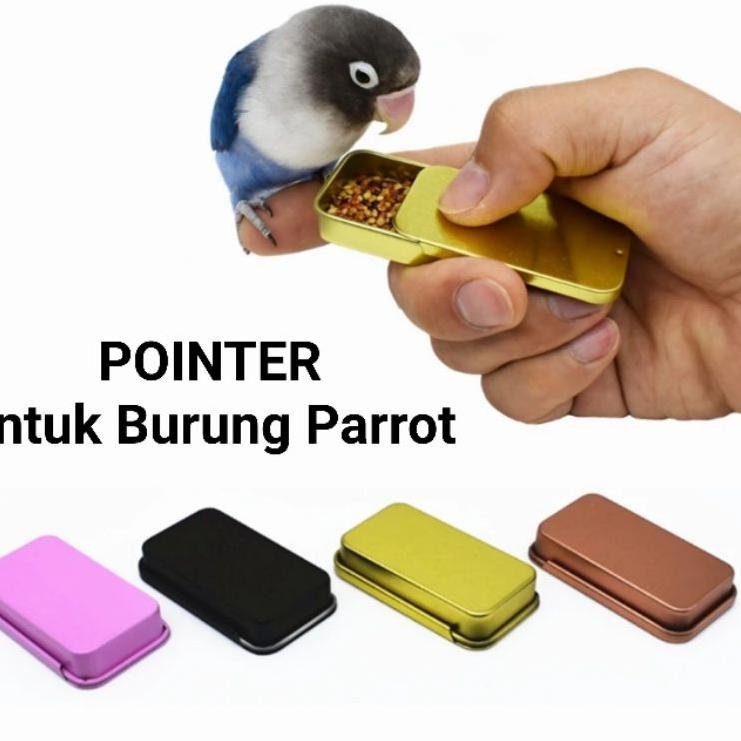 『Perdana』 POINTER box buat burung Parrot
