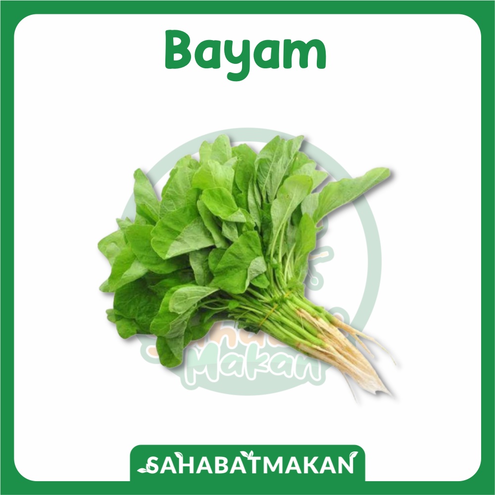 Sayur Daun Bayam Hijau — SahabatMakan