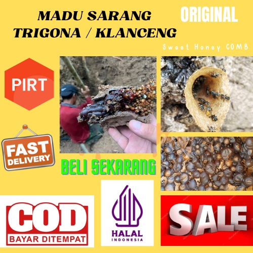 

Madu sarang kelulut original beekeeping beekeeper bees bee kualitas terbaik madu
