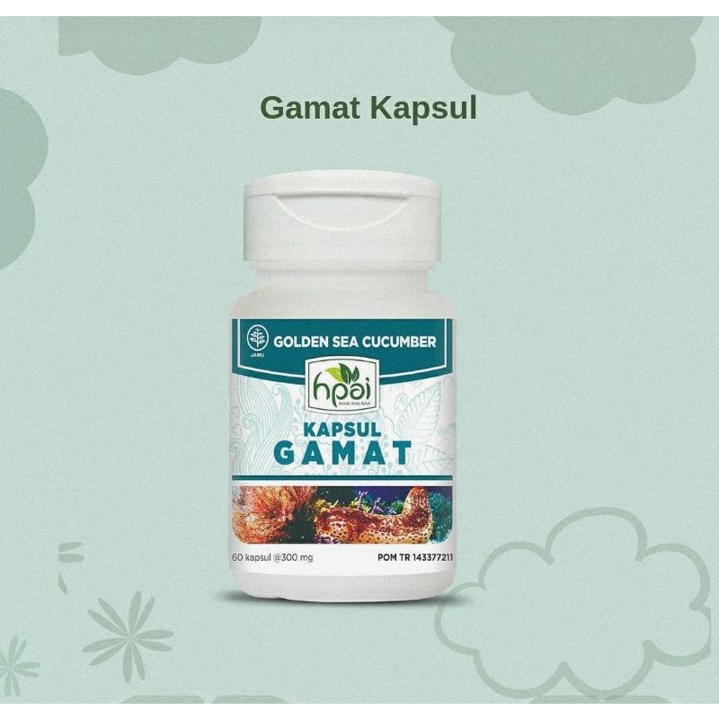 GAMAT / TERIPANG LAUT