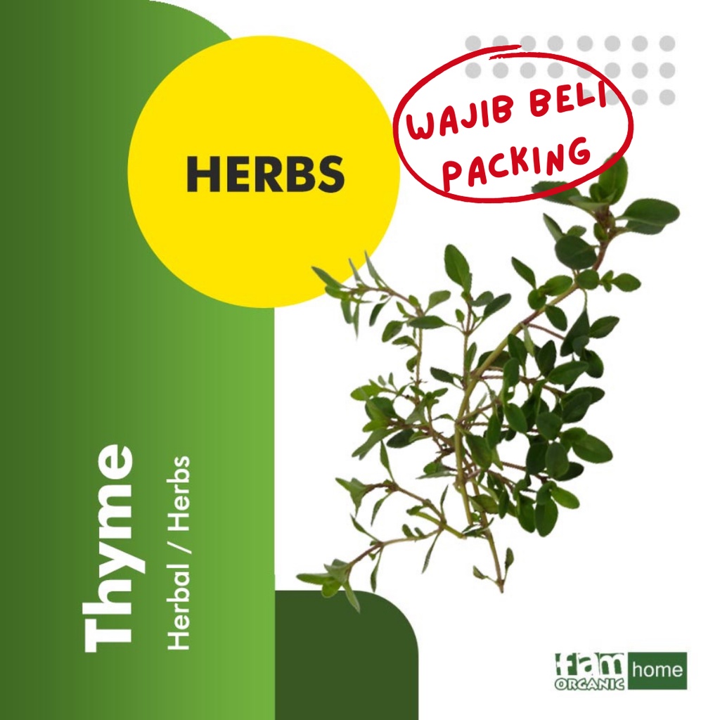 

Thyme Herba Herbal Segar Fresh Herbs Bumbu Masak FAM Organik