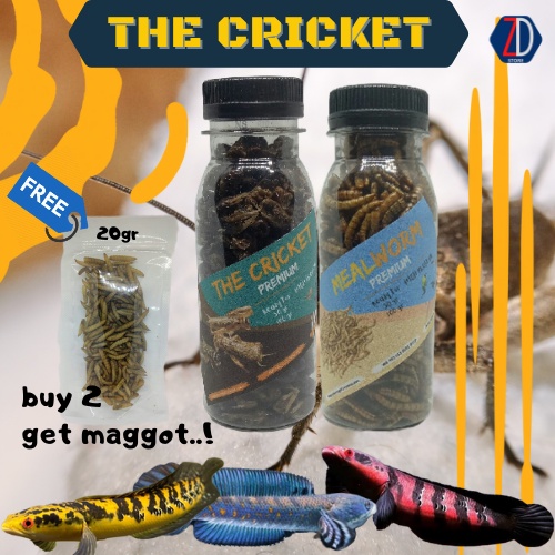 PAKAN CHANA PREMIUM JANGKRIK ULAT HONGKONG KERING KEMASAN BOTOL FREE MAGGOT