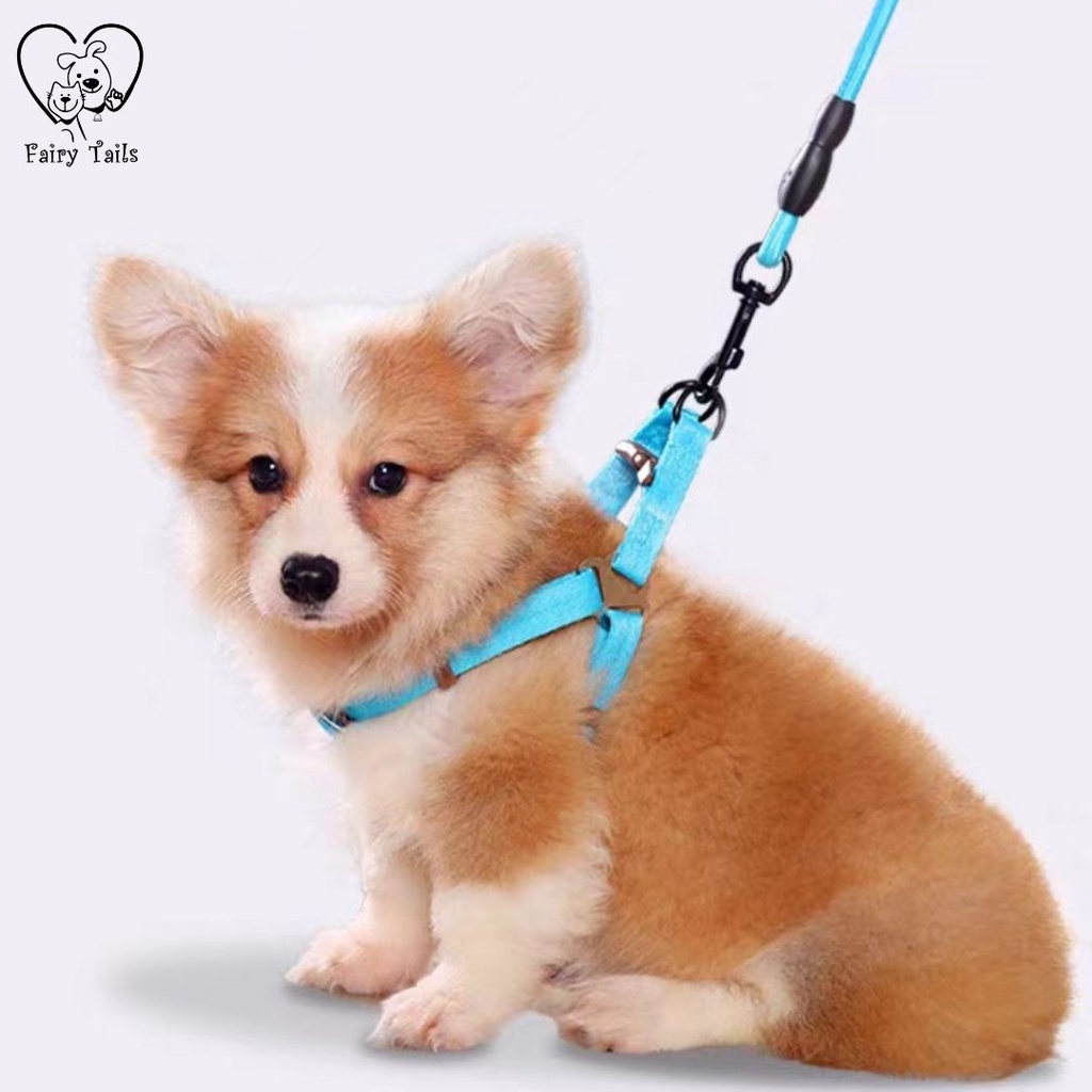 Pet Harness and Leash Tali Tuntun Dengan Strap Dada Y Untuk Outing Anjing dan Kucing Anabul / Y Harness Dog Leash Adjustable