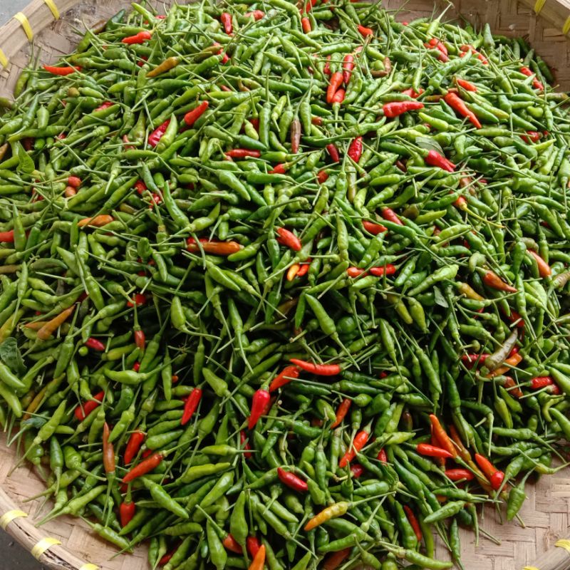 

Cabe Rawit Hijau 1kg Fresh Segar Pedas | Hasil Lampung