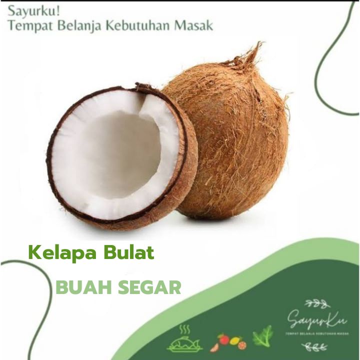 

kelapa bulat utuh