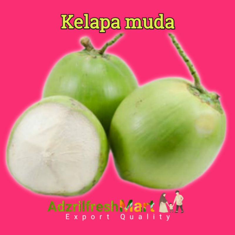 

KELAPA MUDA 1PCS