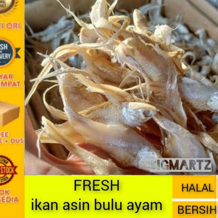 

❅ Ikan Asin Bulu Ayam fresh / bulu ayam super ✼