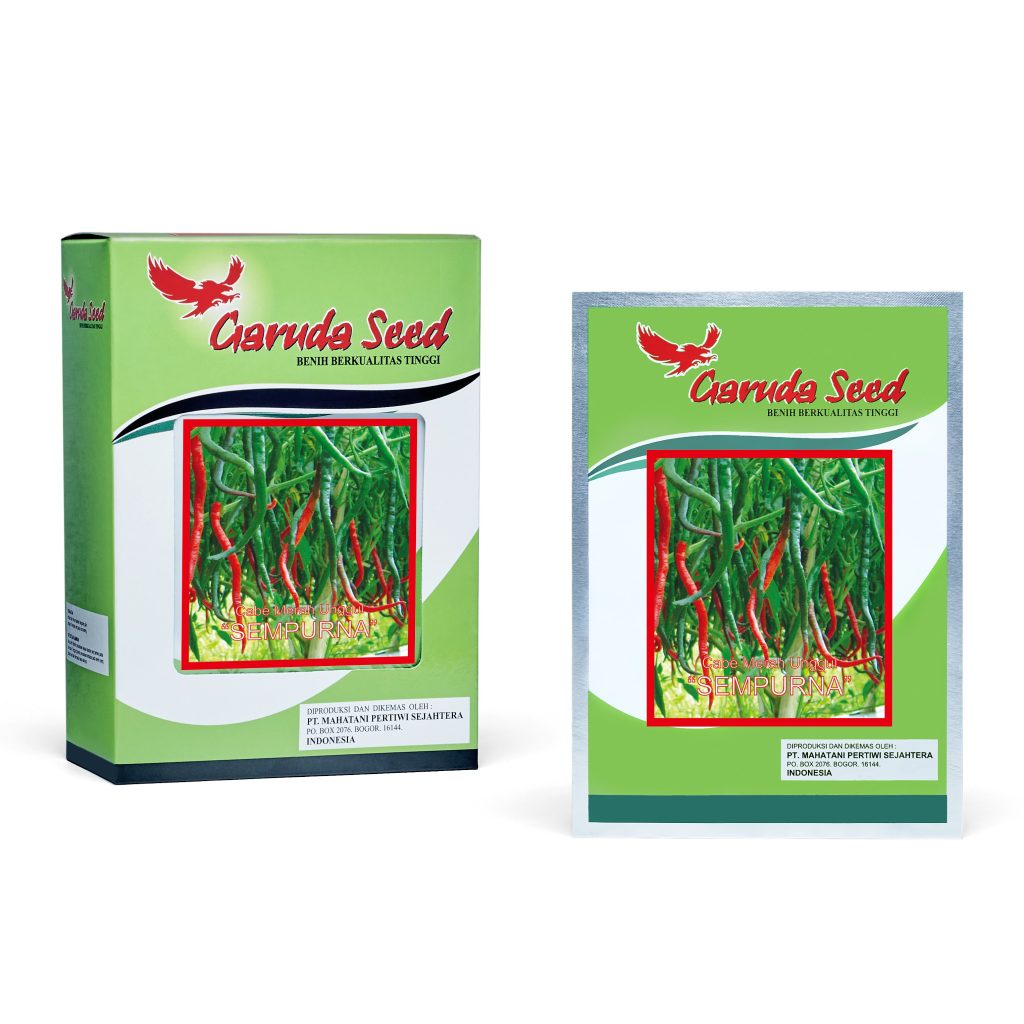 (1 PACK) Benih Cabe Keriting Merah Unggul SEMPURNA Cabai Seeds - Garuda Seed - 10 GRAM