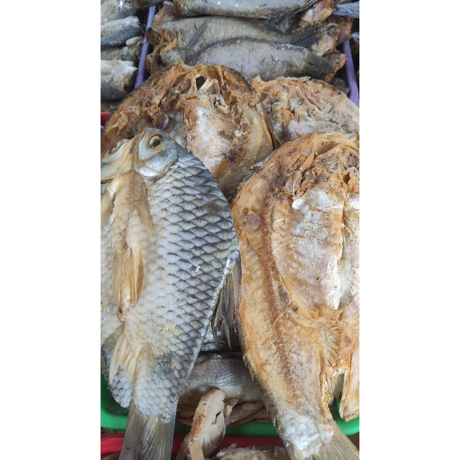 

IKAN ASIN TAWES JUMBO