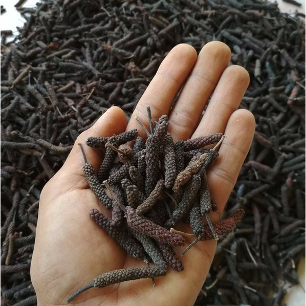 

Cabe/Cabai jawa (Java long pepper)