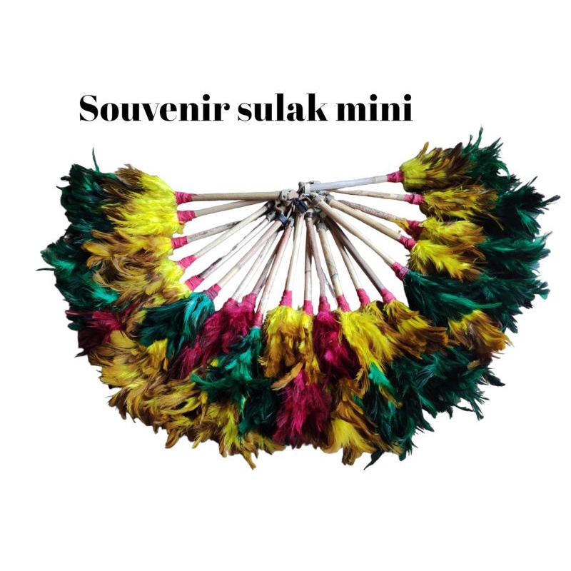 Souvenir sulak mini kemoceng murah