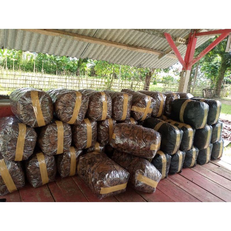 DAUN KETAPANG LAUT SUPER OLAHAN 10KG SIAP PAKAI