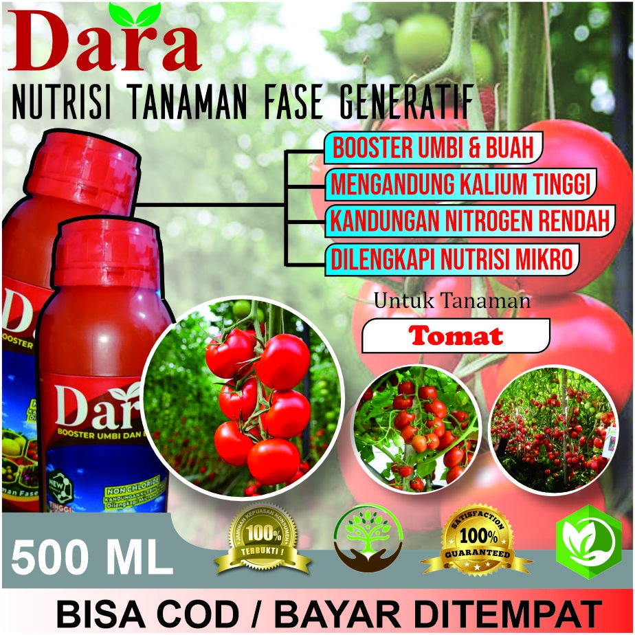 PUPUK CAIR TERBAIK DARA 500 ML Pupuk semprot pelebat tanaman tomat - pupuk perangsang pada tanaman t