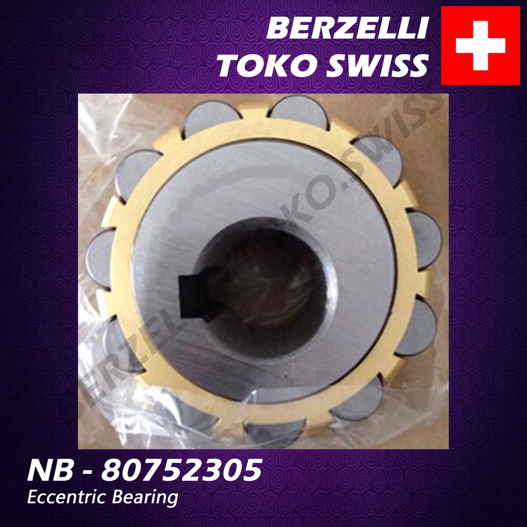 NB – 80752305 ECCENTRIC BEARING