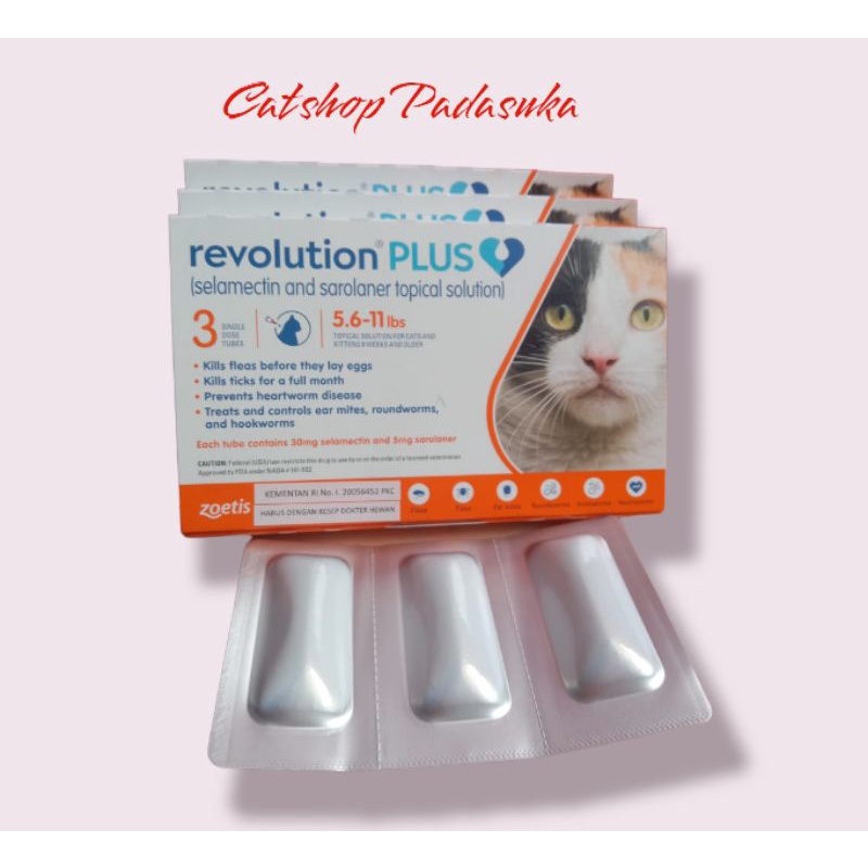 REVOLUTION CAT ORANGE Plus Tetes Kutu kucing Cat Adult