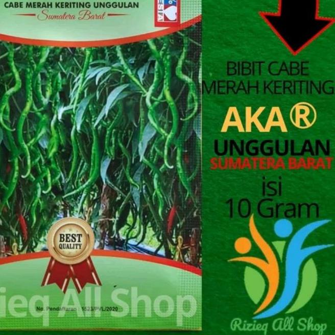♨ Benih Bibit Cabe Keriting AKAR isi 10 Gram sekitar 2200 butir benih cabe Keriting Unggulan AKAR ➨