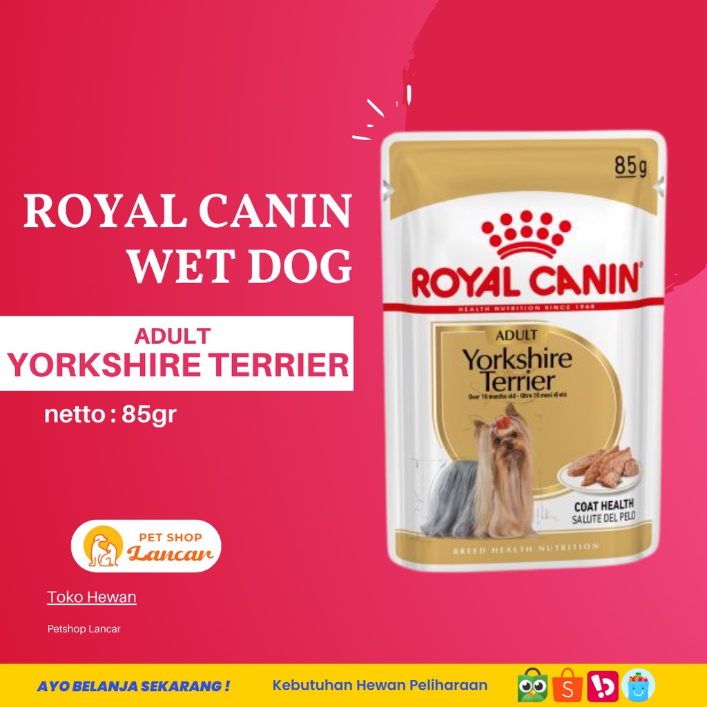 Makanan Anjing Royal Canin Yorkshire Adult 85 Gram / Wet Pouch Sachet