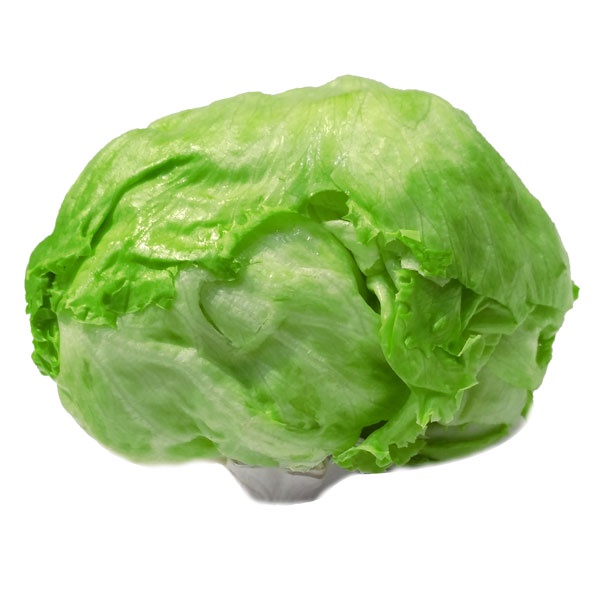 

LETTUCE HEAD 580-620 GR