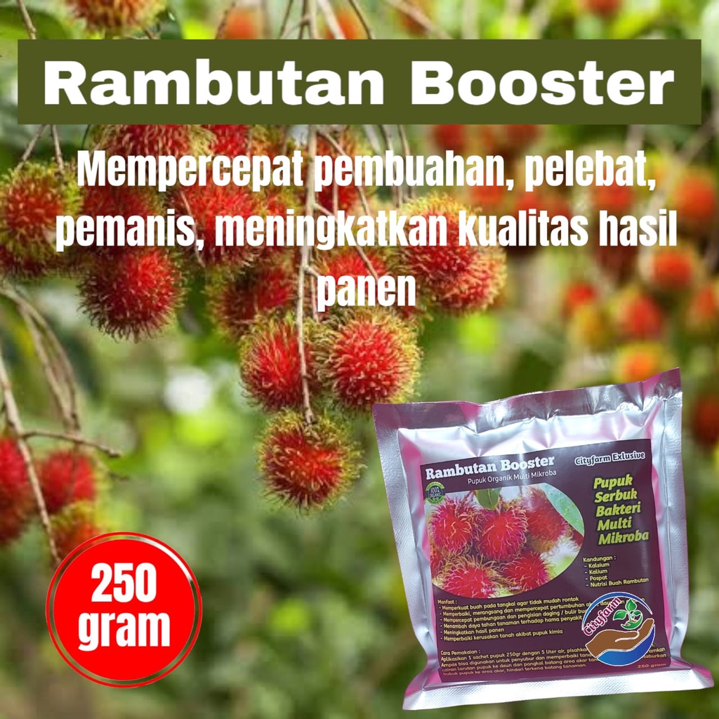 Pupuk Booster Rambutan Organik Pelebat Buah Dan Anti Rontok 250gr