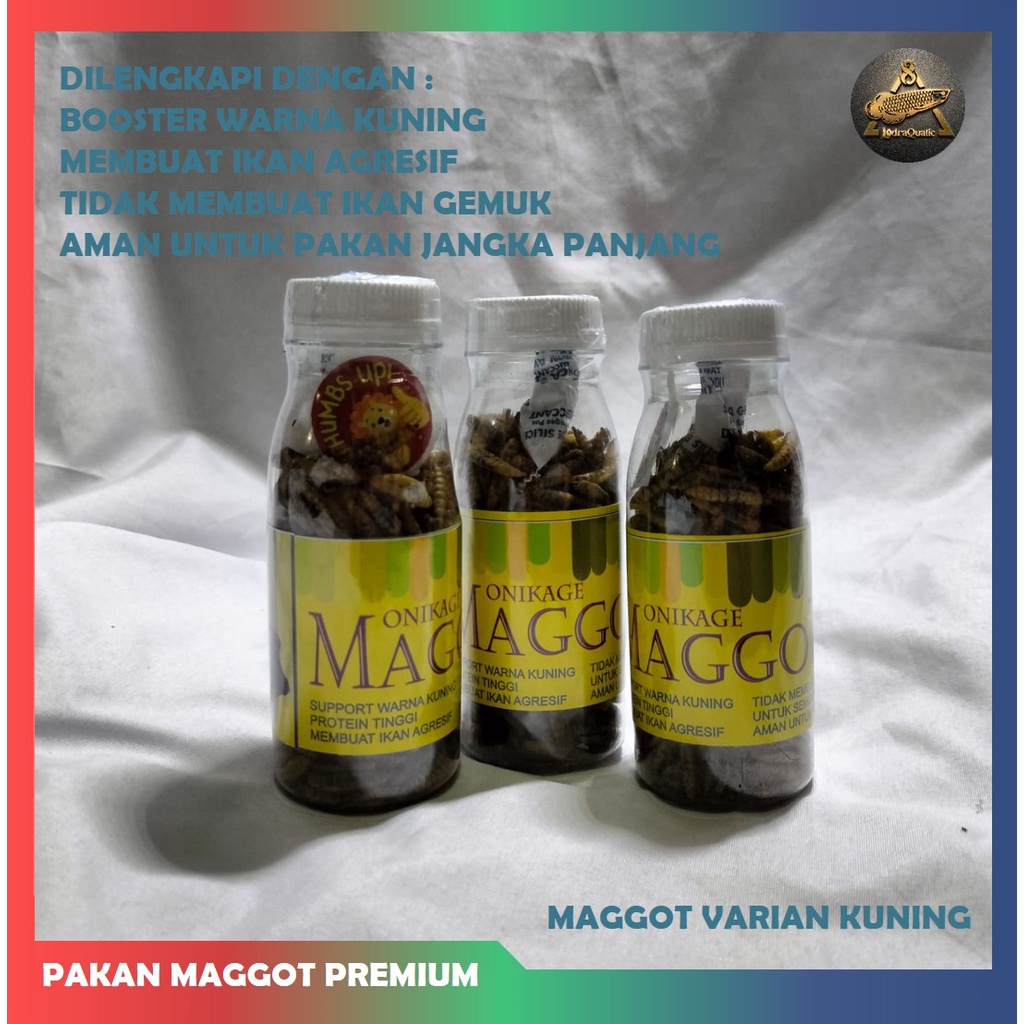 SPESIAL ! MAGGOT KERING PAKAN PREMIUM CHANNA BOOSTER WARNA IKAN CHANNA MAGGOT KERING CHANNA PAKAN IKAN CHANNA PELET CHANNA PAKAN IKAN PREDATOR MAGGOT KERING MERAH KUNING BIRU BOOSTER WARNA IKAN CHANNA PAKAN IKAN PREDATOR