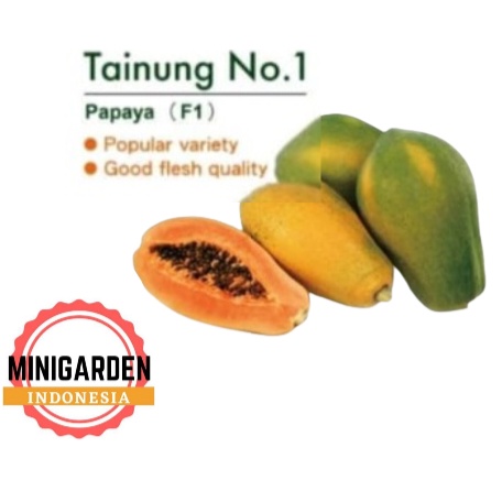 BENIH PEPAYA CALIFORNIA TAINUNG 50BIJI bibit buah pepaya tainung no1