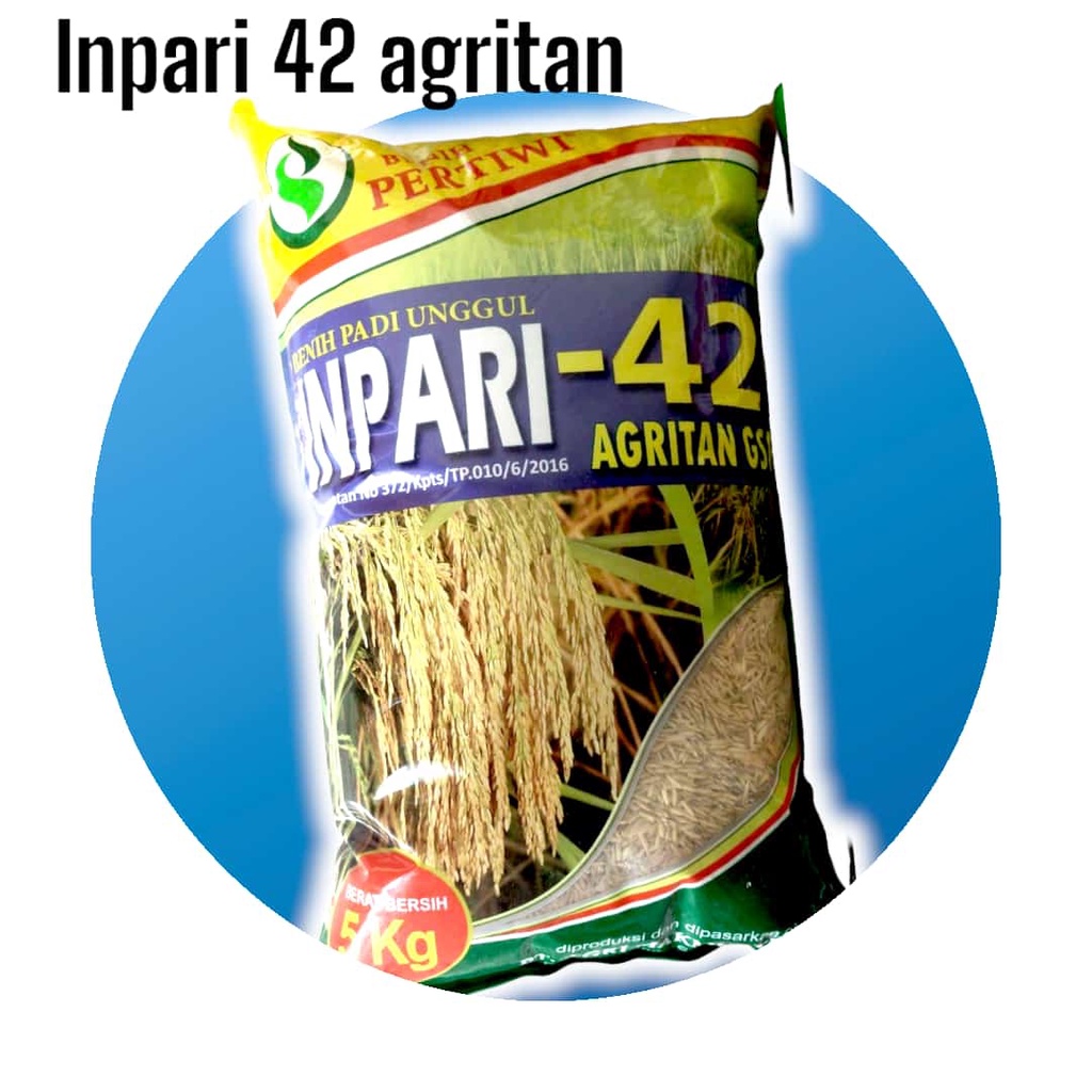BENIH PADI INPARI 42 PERTIWI 5 KG