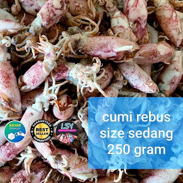 

Bagus!!!!!! ikan asin cumi rebus / sotong rebus size sedang 250gram