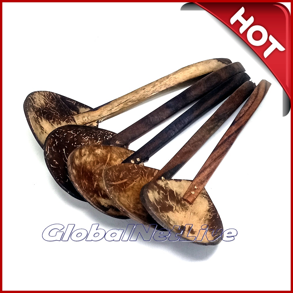 Irus Sendok Sayur Batok Tempurung Kelapa Gagang Kayu Souvenir