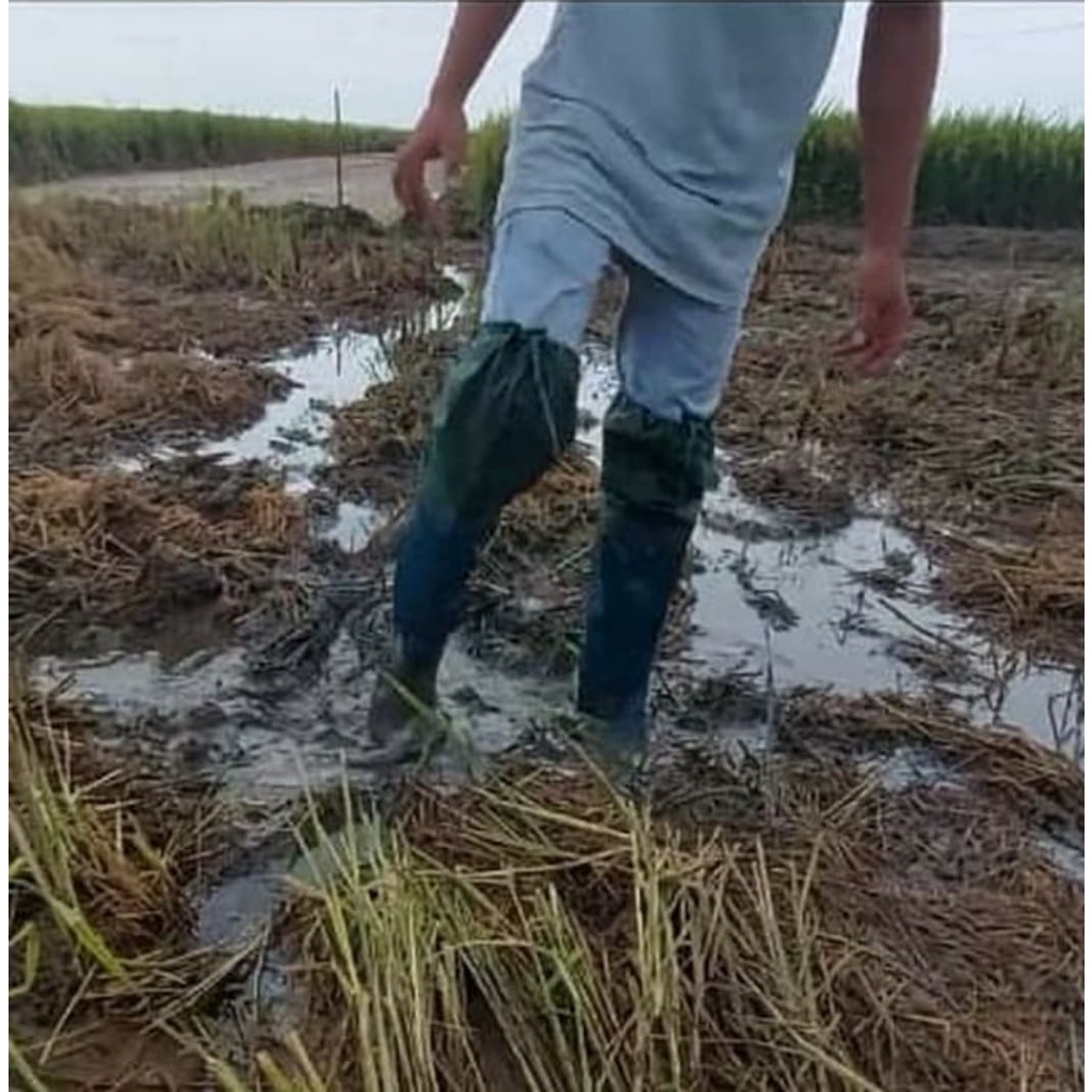 SEPATU BOOTS 60CM ANTI KEONG