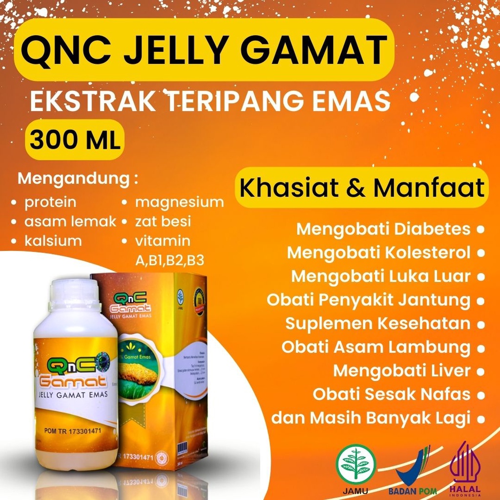 QnC Jelly Gamat Semarang | Jelly Gamat Emas Original