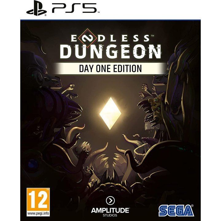 PS5 Endless Dungeon