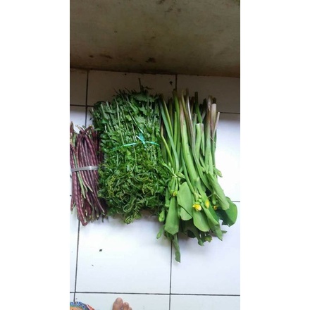

Kacang Panjang Merah Gendot/ Genjer & Pakis Paket Hemat Sayuran sehari - hari