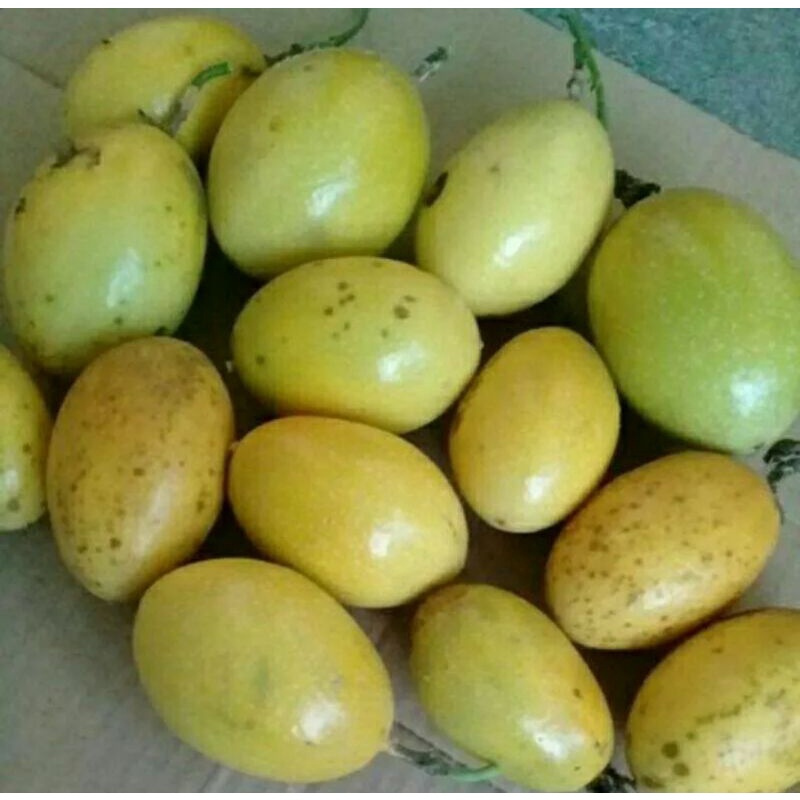 

promo buah markisa kuning 1 kg / Jack fruit markisa hutan