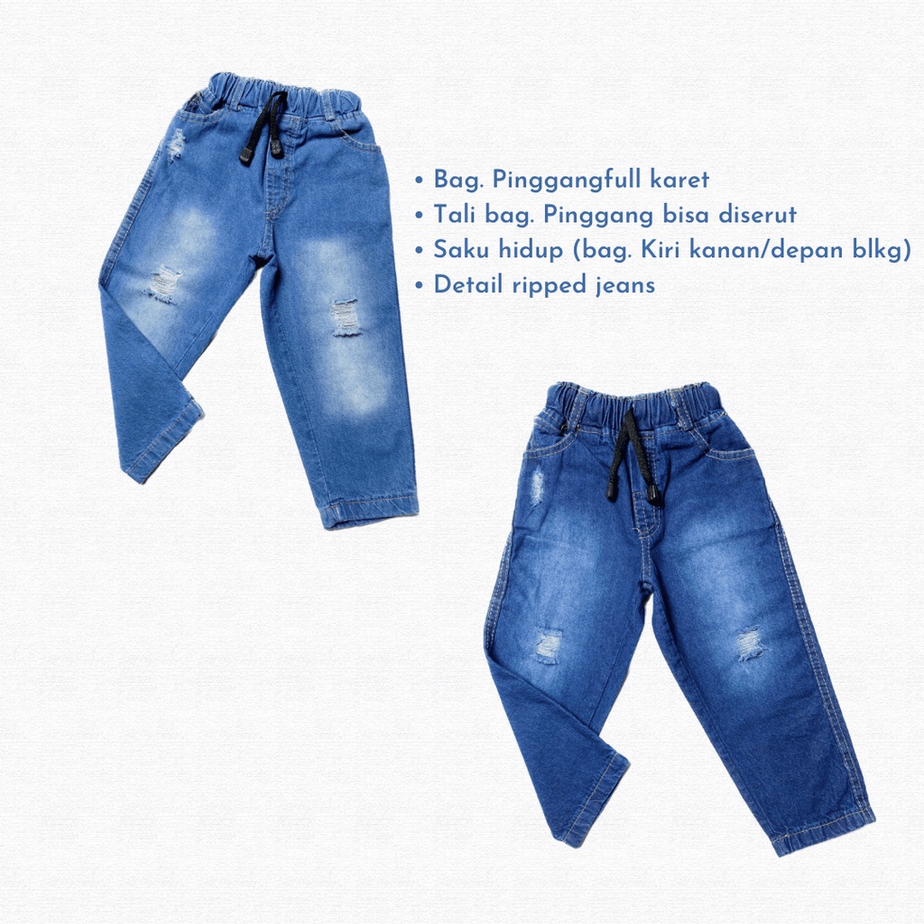 Haplion Celana Jeans Panjang Anak Ripped Saga 1-6 Tahun