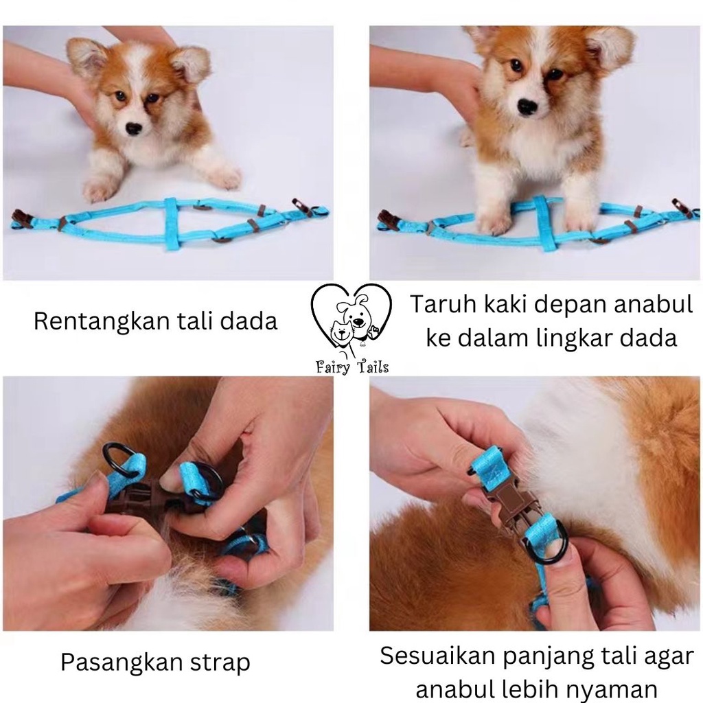 Pet Harness and Leash Tali Tuntun Dengan Strap Dada Y Untuk Outing Anjing dan Kucing Anabul / Y Harness Dog Leash Adjustable