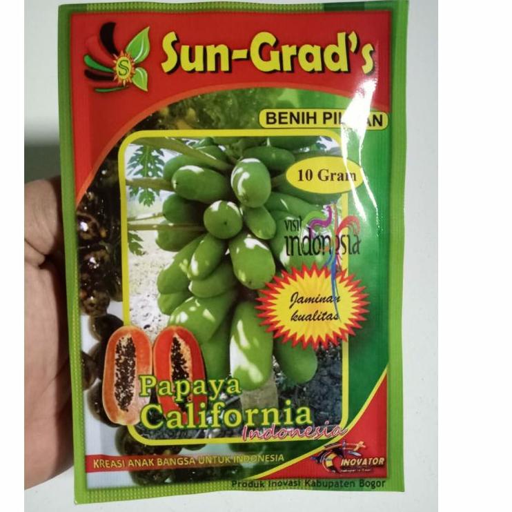 ♥ Benih Pepaya California SUN GRADS Isi Sekitar 500 Biji Benih Pepaya Bibit Pepaya Bibit Pepaya Cali