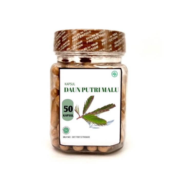 

PUTRI MALU 1000 Kapsul Herbal Lemah Syahwat Lukadiabetes